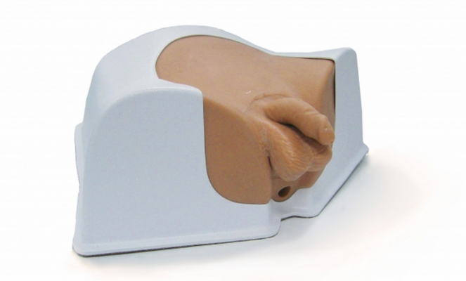 Realistic Male Bladder and Prostate Imaging Phantom ...