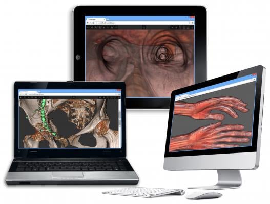 Fovia, Softneta Bring HDVR to Telemedicine Market