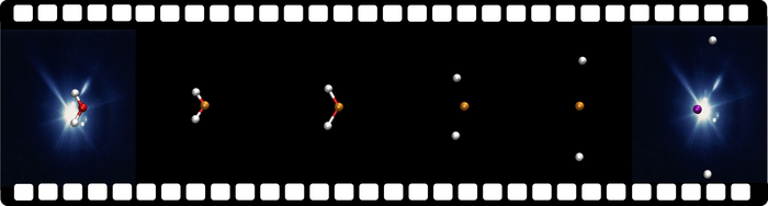 After the absorption of an X-ray photon, the water molecule can bend up so far that after only about ten femtoseconds (quadrillionths of a second) both hydrogen atoms (grey) are facing each other, with the oxygen atom (red) in the middle. This motion can be studied by absorbing a second X-ray photon. Credit: DESY, Ludger Inhester