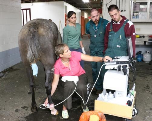 Ultrasound Enhancement Provides Clarity to Damaged Tendons, Ligaments