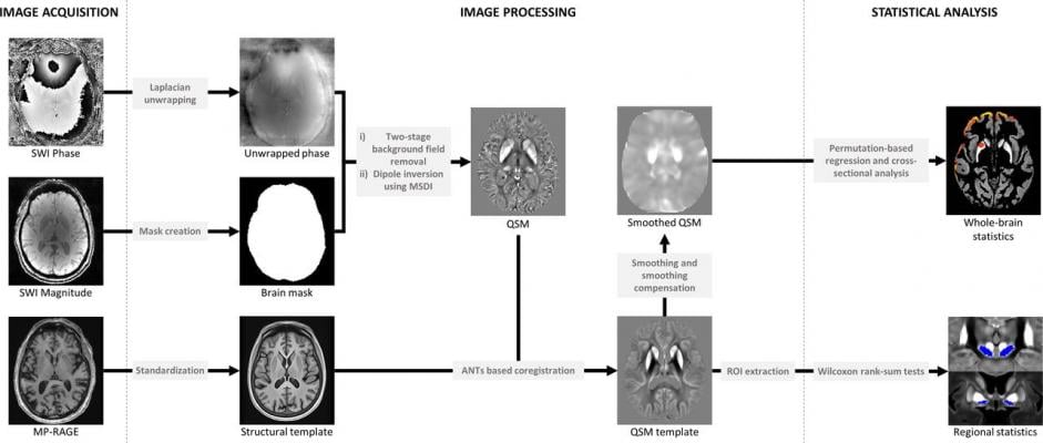 A cutting-edge magnet resonance imaging (MRI) technique to detect iron deposits in different brain regions can track declines in thinking, memory and movement in people with Parkinson's disease #Parkinsons #MRI