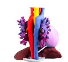 3D Systems Introduces DICOM to 3-D Printing Functionality at RSNA 2017