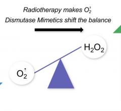 The experimental drug avasopasem manganese protects healthy tissue while enhancing radiation's capacity to kill cancerous tumor cells by converting superoxide to hydrogen peroxide. Image courtesy of Michael Story, Ph.D.