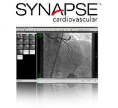 Synapse Cardiovascular version