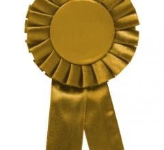 RSNA’s highest honor – the Gold Medal – was awarded to Ronald L. Arenson, M.D., William T. Thorwarth, Jr., M.D., and Kay H. Vydareny, M.D.