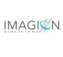 Imagion Biosystems, Siemens Healthineers Extend Imaging Agent Collaboration