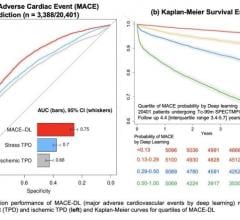 Prediction performance of DL compared to quantitative measures and Kaplan-Meier curves for quartiles of DL. Image created by Singh et al., Cedars-Sinai Medical Center, Los Angeles, CA.