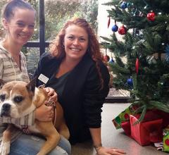 PetCure Oncology, stereotactic radiosurgery, SRS, Laura Leal, Cincinnati