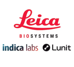Leica, Indica Labs, Lunit Team Up to Develop Image Analysis Algorithms