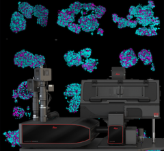 microscope, imaging, 3D