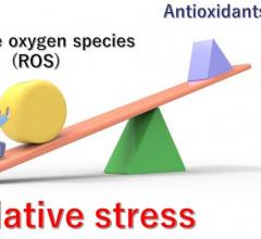 Unhealthy lifestyles, various diseases, stress, and aging can all contribute to an imbalance between the production of ROS and the body's ability to reduce and eliminate them. The resulting excessive levels of ROS cause "oxidative stress". 