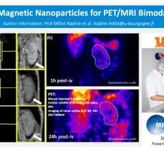 Study Explores Magnetic Nanoparticles as Bimodal Imaging Agent for PET/MRI