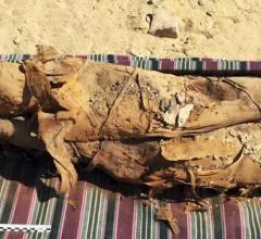 The ALS produces various wavelengths of bright light that can be used to explore the microscopic chemistry, structure, and other properties of samples