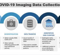 The Radiological Society of North America (RSNA) and the RSNA COVID-19 AI Task Force today announced the launch of the RSNA International COVID-19 Open Radiology Database (RICORD). RICORD is envisioned as the largest open database of anonymized COVID-19 medical images in the world. 