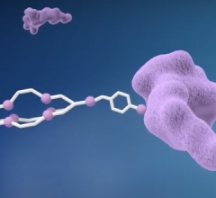 Clarity Pharmaceuticals, a radiopharmaceutical company focused on the treatment of serious disease, and ImaginAb, Inc., a company that harnesses the specificity of monoclonal antibodies, have entered into a collaboration agreement to develop new targeted theranostic (diagnostic and therapy) products for a broad range of cancer types.