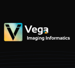 Vega Curates Largest Digital Breast Tomosynthesis Dataset