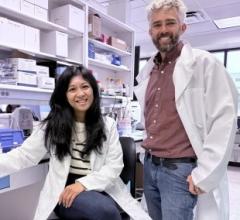 Researchers Develop Imaging Probe That Helps Track, Possibly Treat, Prostate Cancer 