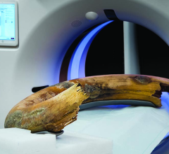 Photograph of the positioning of the woolly mammoth tusk in the scanner. The tusk was fixed in a fiberglass frame to guarantee transport and table-movement stability. 