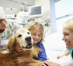 pediatric echocardiograms, cardiovascular ultrasound, therapy dog impact, animal-assisted therapy, Human Animal Bond Research Initiative, HABRI