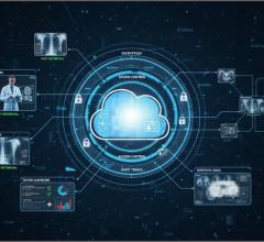Medical Imaging on the Cloud: Testing for Trust