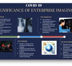 As the silos of data and diagnostic imaging PACS systems are being collapsed and secured, the modular enterprise imaging platform approach is gaining significance, offering systemness and security
