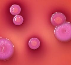 SNMMI Radioluminescence Single Cells Nuclear Imaging