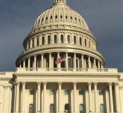 The Capitol Building in Washington, DC