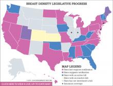 The Debate Over Breast Density