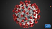 An illustration of the novel coronavirus (COVID-19) from the CDC. #coronavirus #COVID19 #COVID-2019 #2019nCoV