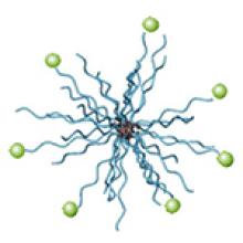 Diagram of nanoparticle