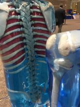 Imaging phantoms from the vendor CIRS on the expo floor at RSNA 2019.