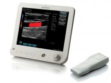 Siemens Acuson Freestyle