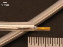 Researchers from North Carolina State University and the University of North Carolina at Chapel Hill have developed an ultrasound device to help identify arterial plaque that is at high risk of breaking off and causing heart attack or stroke. Courtesy Xiaoning Jiang, North Carolina State University.