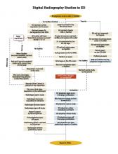 Appendices 3 a & b: These charts show the re-engineered process implemented in the emergency department, where studies are delivered to the radiologist and the ED physician simultaneously, without any artificial delay.