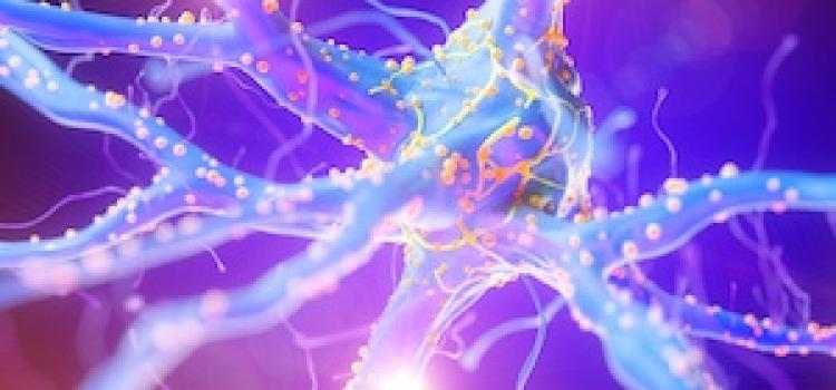 Imaging Study Shows Widespread Brain Connection Loss in Schizophrenia