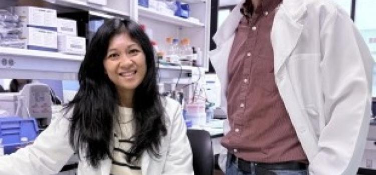 Researchers Develop Imaging Probe That Helps Track, Possibly Treat, Prostate Cancer 