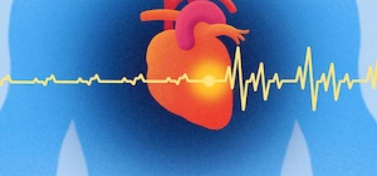 MRI, cardiac imaging, AI